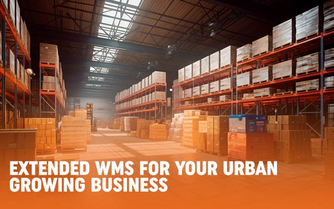 Extended WMS For Your Urban Growing Business