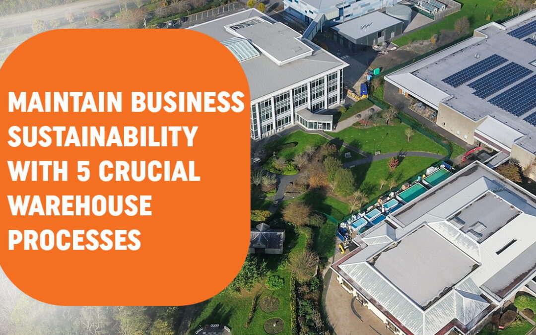 Maintain Business Sustainability With 5 Crucial Warehouse Processes