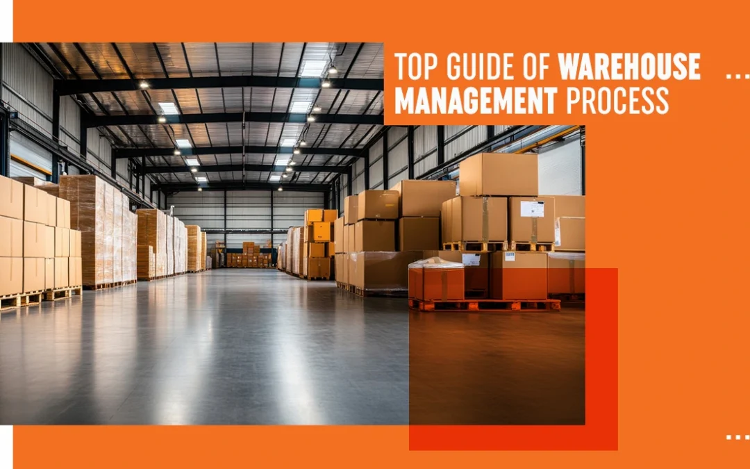Top Guide of Warehouse Management Process