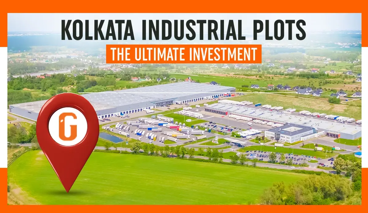 The Ultimate Investment